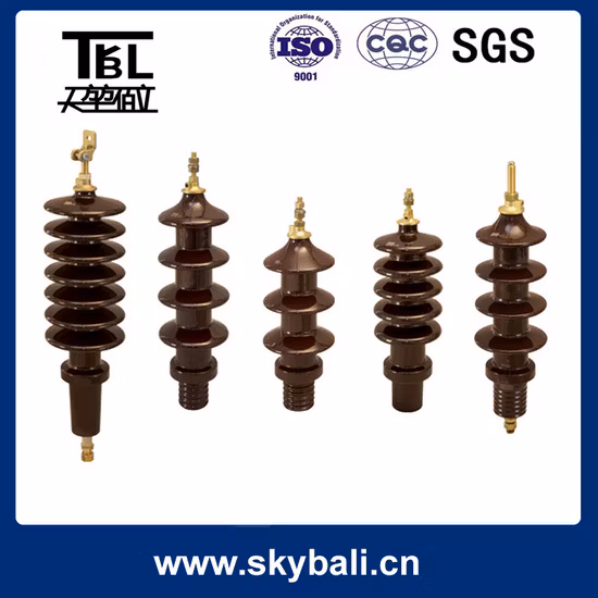1/1000 LV Transformer Bushing Insulator
