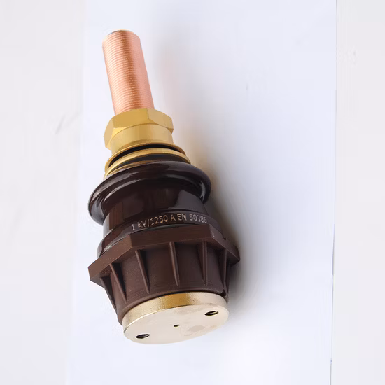 Low Voltage En Standard 1kv/250-1250A Porcelain Transformer Bushing